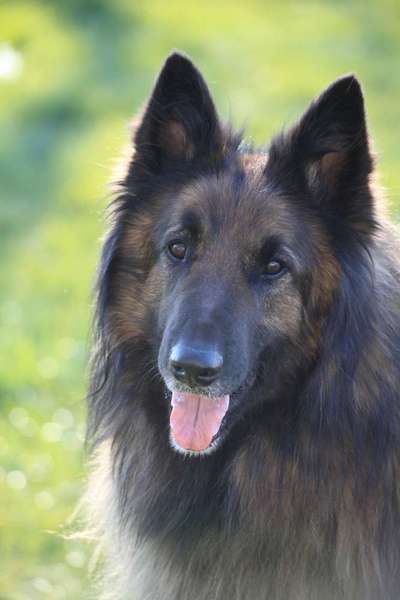 Zeigt eure Portraits-Beitrag-Bild