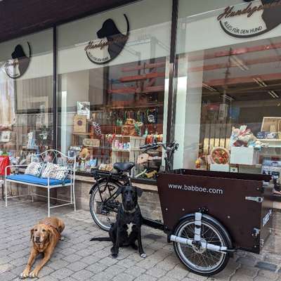 Hundeshops-Hundsgemütlich-Bild