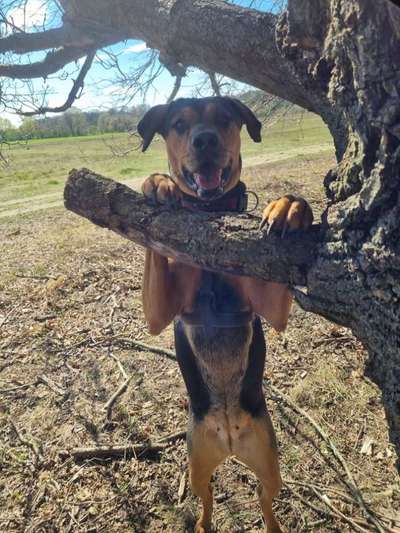 Fotochallenge Nr.122-Beitrag-Bild