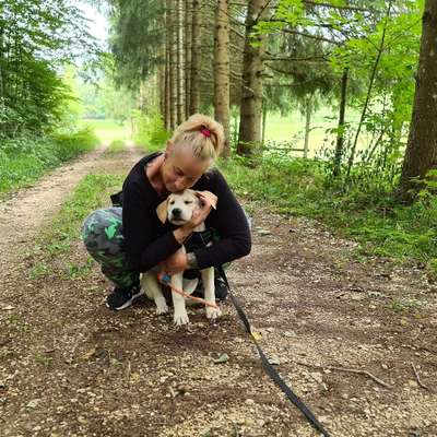 Hundetreffen-Junghundetreffen zum spielen oder Gassi gehen