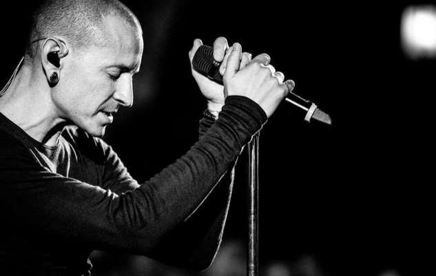 Wie heißt dein Hund?-Beitrag-Bild