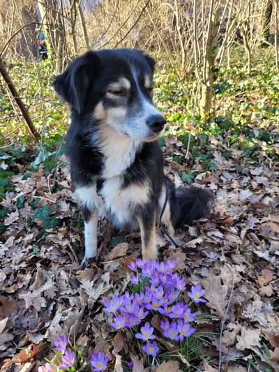 Fotochallenge Nr. 126-Beitrag-Bild