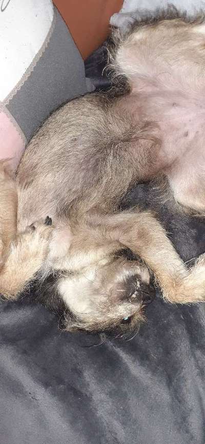 Fotochallenge Nr.65-Beitrag-Bild