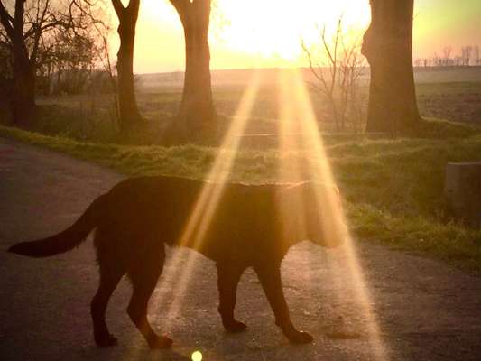 Fotochallenge Nr. 62 Romantische Momente-Beitrag-Bild