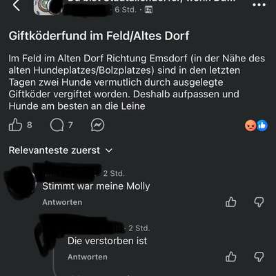 Giftköder-Giftköder im Feld im Alten Dorf Richtung Emsdorf-Bild