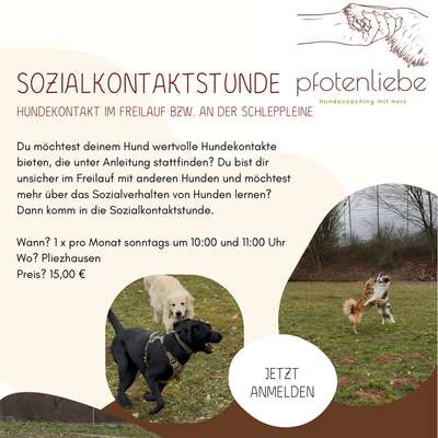 %{de_profession_title}-Sozialkontaktstunde-Bild