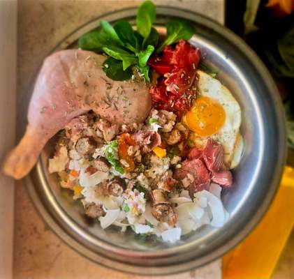 Zeigt her Eure Futternäpfe-Beitrag-Bild