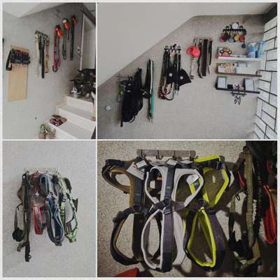 Zeigt her eure Gassi-Stationen =)-Beitrag-Bild