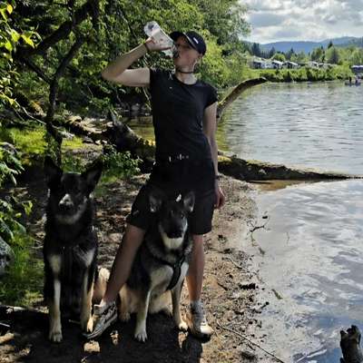 D.'s Profilbild