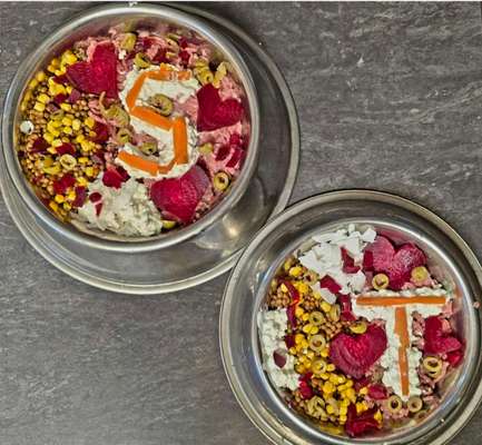 Zeigt her Eure Futternäpfe-Beitrag-Bild