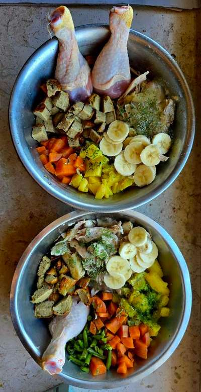 Zeigt her Eure Futternäpfe-Beitrag-Bild