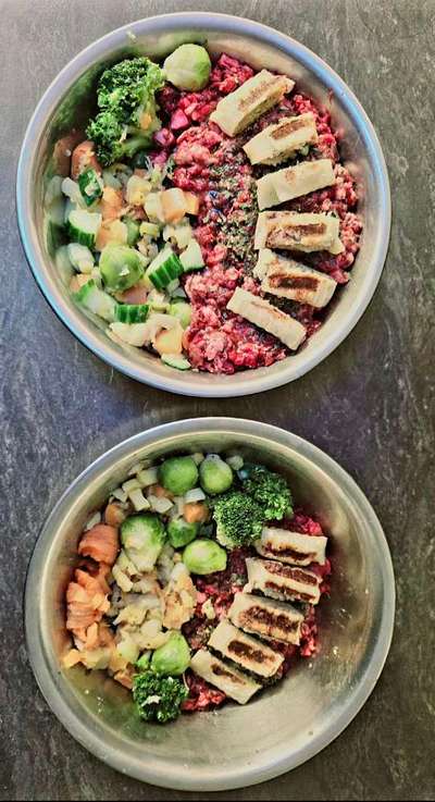 Zeigt her Eure Futternäpfe-Beitrag-Bild