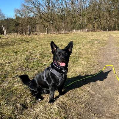 Häufige Vorurteile-Beitrag-Bild