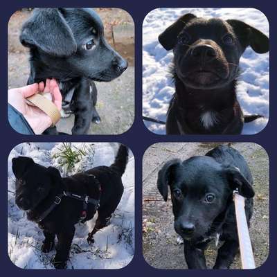 Konzentration & Fokus steigern-Beitrag-Bild