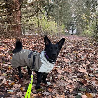 Welche Mäntel empfehlt ihr?-Beitrag-Bild