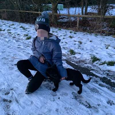 TierschutzhundeStammtisch🐕-Beitrag-Bild