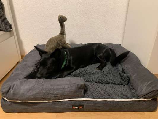 Schlaf verbessern/passendes Bett finden-Beitrag-Bild