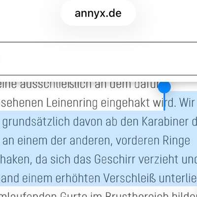 Suche ein passendes Gechirr-Beitrag-Bild