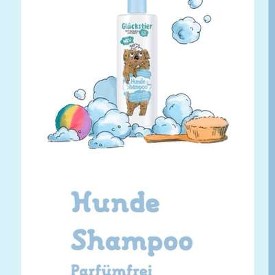 Gutes Hundeshampoo-Beitrag-Bild