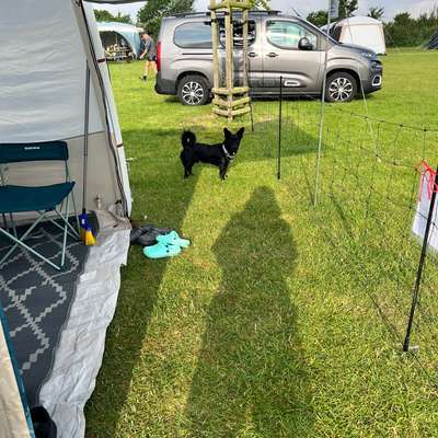 Camping mit Hund/en-Beitrag-Bild