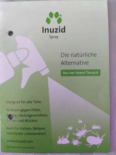 Floh und Zeckenmittel-Beitrag-Bild