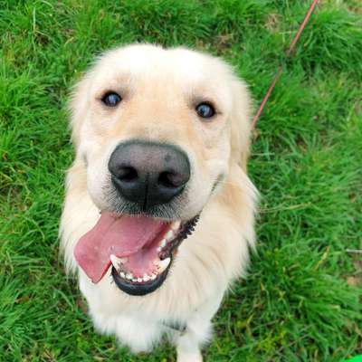 Fotochallange Nr. 57     PORTRÄT.   Beendet!!!!!!!!-Beitrag-Bild