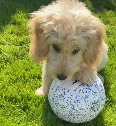 Lieblingsbild :D-Beitrag-Bild