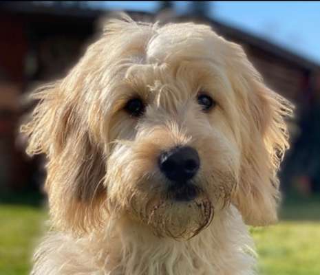 Fotochallange Nr. 57     PORTRÄT.   Beendet!!!!!!!!-Beitrag-Bild