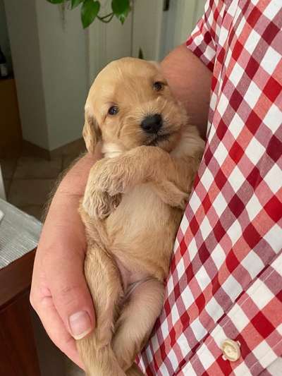 Erstes Bild-Beitrag-Bild