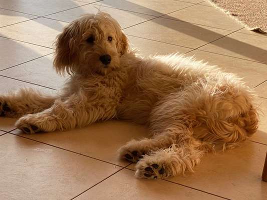 Fotochallenge Nr. 67: Euer Lieblingsbild-Beitrag-Bild