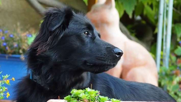 Zeigt eure Portraits-Beitrag-Bild