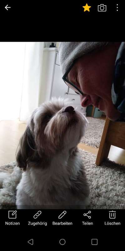 Hundmenschfotos-Beitrag-Bild