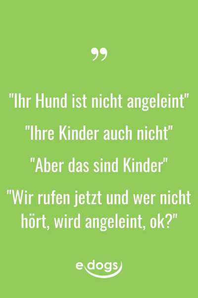 Hunde Memes-Beitrag-Bild