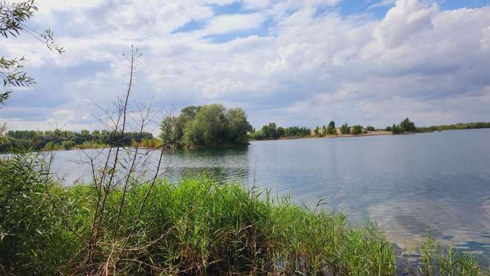 Hundeauslaufgebiet-Kieswerk Tornitz-Bild