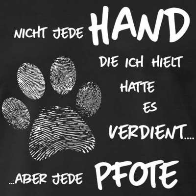 Hunde Memes-Beitrag-Bild