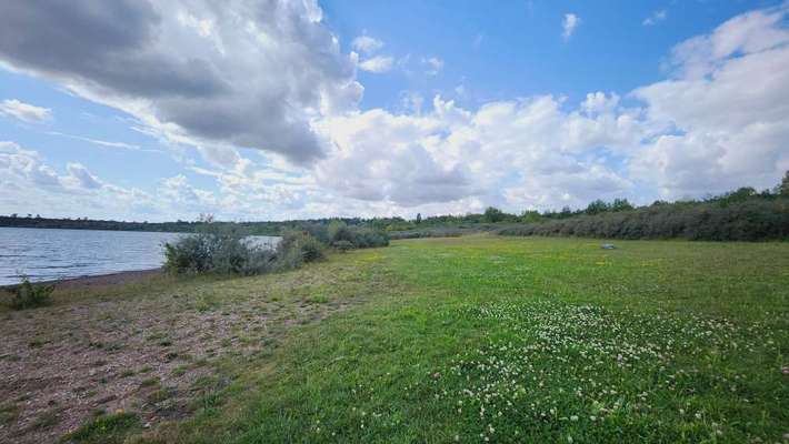 Hundeauslaufgebiet-Hundestrand Concordiasee-Bild