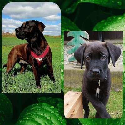 Ach, wie schnell die Zeit vergeht-Beitrag-Bild