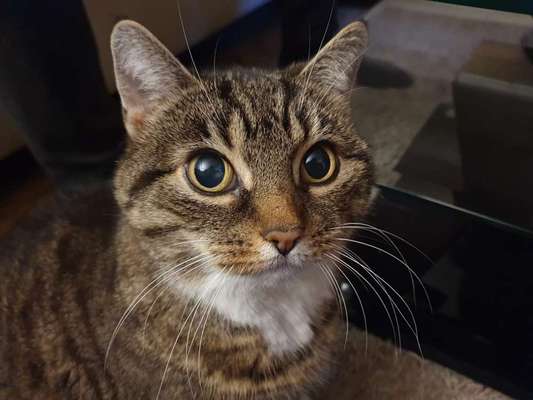 Was hat euch heute genervt?-Beitrag-Bild