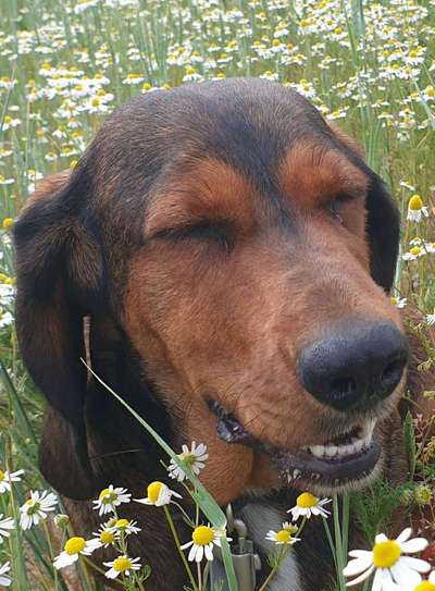 Immer lächeln !-Beitrag-Bild