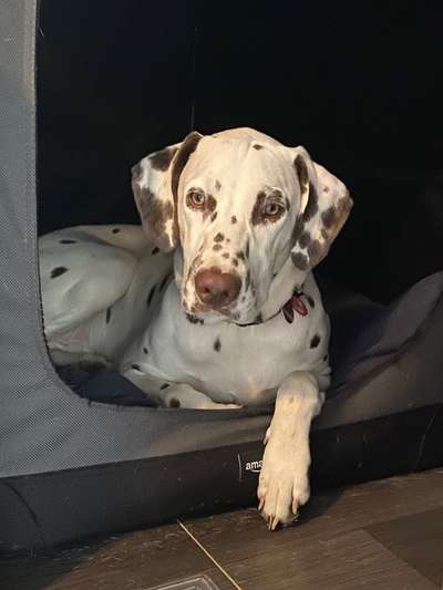 Fotochallange Nr. 57     PORTRÄT.   Beendet!!!!!!!!-Beitrag-Bild