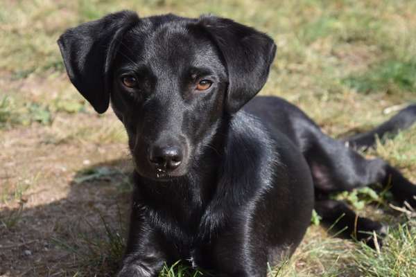 Fotochallange Nr. 57     PORTRÄT.   Beendet!!!!!!!!-Beitrag-Bild