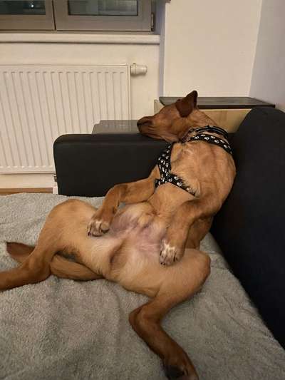 Lustige Grimassen & verrückte Posen-Beitrag-Bild