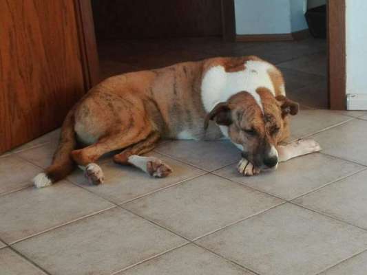 Lieblings Schnappschuss?-Beitrag-Bild