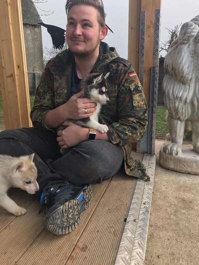 Hundmenschfotos-Beitrag-Bild