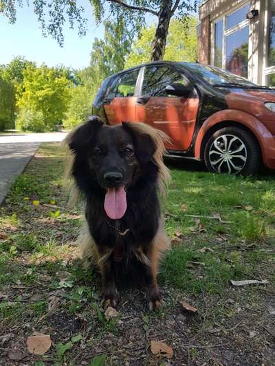 141. FOTO CHALLENGE 
Reisende soll man nicht aufhalten-Beitrag-Bild