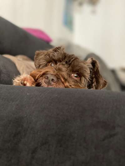 Fotochallange Nr. 57     PORTRÄT.   Beendet!!!!!!!!-Beitrag-Bild