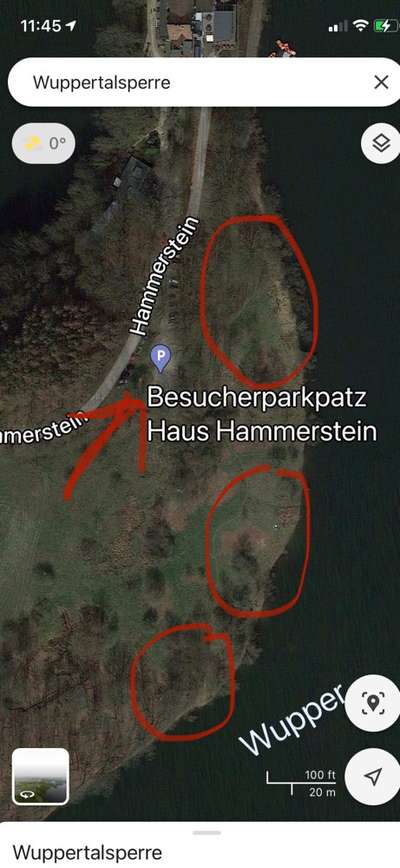 Badesee mit Hund-Beitrag-Bild