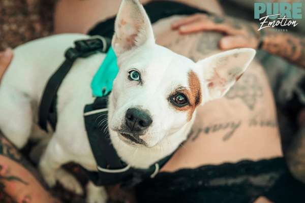 Dogorama Photo Challenge - Details Ganz nah-Beitrag-Bild