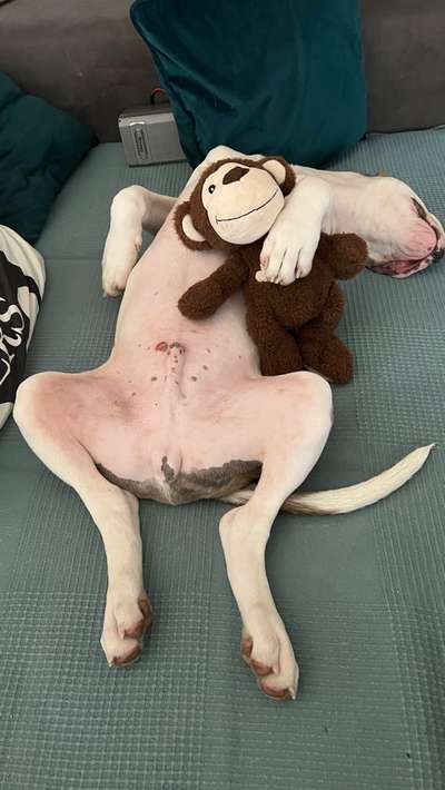 Foto Challenge - Zeigt her eure Bäuche-Beitrag-Bild