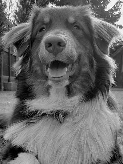 Fotochallange Nr. 57     PORTRÄT.   Beendet!!!!!!!!-Beitrag-Bild